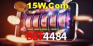 Experiência VIP Bet4484